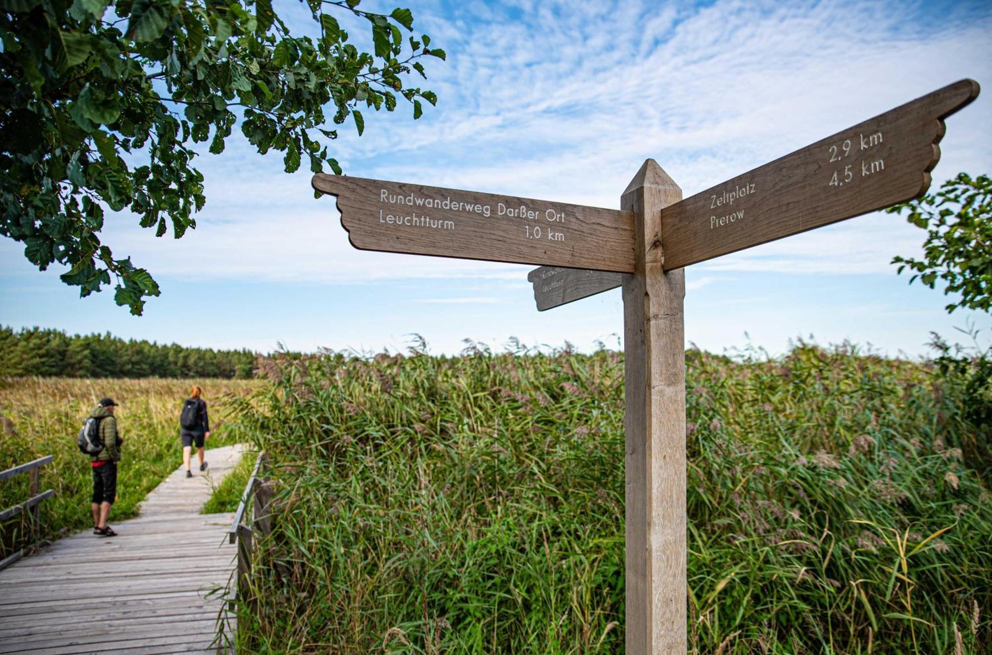 Kranichtanz An Der Seebruecke Zingst Dış mekan fotoğraf
